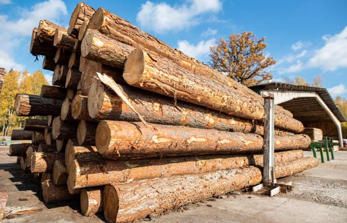 Xu hướng tiêu dùng gỗ hợp pháp tại EU tăng cao